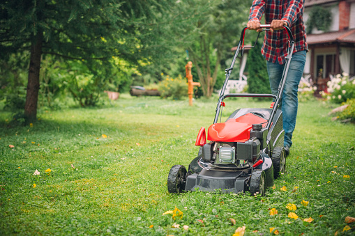 Maintain the Beauty of Your Lawn: A Message for the Lawn Mowers