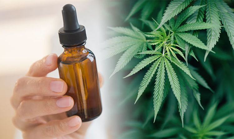 what is the best marijuana to use for terminal cancer patients?
