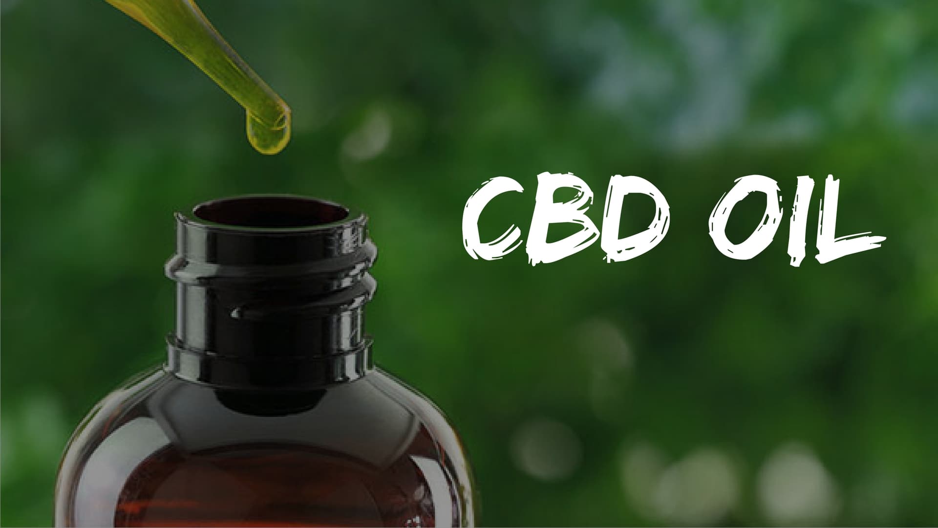 Best CBD Oil for Dogs: Top 5 Brands & Buyer’s Guide