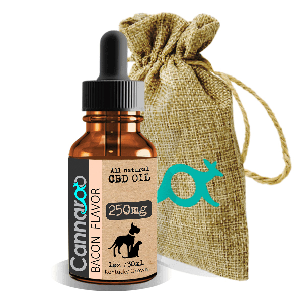 Ways To Give CBD To Dogs